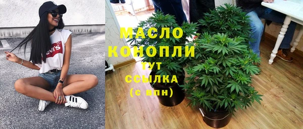 первитин Ельня