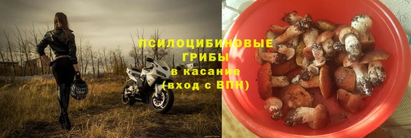 соль ск Елизово