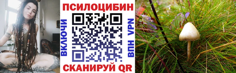 Псилоцибиновые грибы Magic Shrooms  Тольятти 